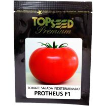 Sementes De Tomate Salada Ind. Híbrido Protheus F1 Topseed Premium - 1mx