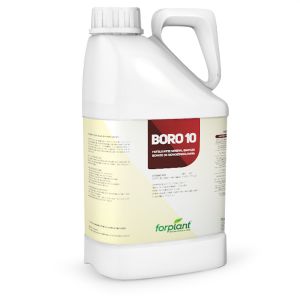 Fertilizante Foliar Boro 10 Forplant - 5 Litros