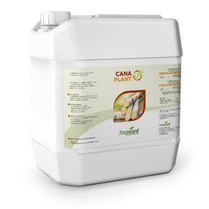 Fertilizante Foliar Canaplant Forplant - 20 Litros