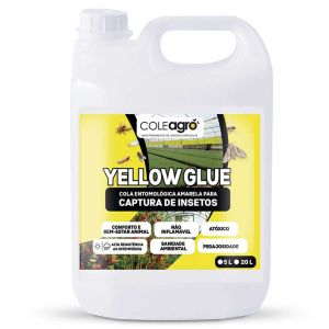 Cola Entomológica Amarela Yellow Glue Coleagro - 5 Litros