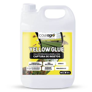 Yellow Glue 5 Litros