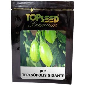 Sementes De Jilo Teresópolis Gigante Topseed Premium - 50g