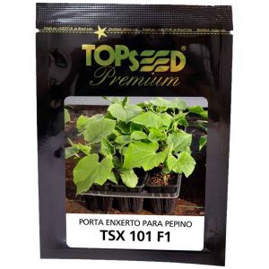Sementes De Porta Enxerto Para Pepino Tsx 101 F1 Topseed Premium - 0,5mx