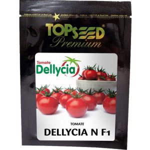 Sementes De Tomate Cocktail Híbrido Dellycia N F1 Topseed Premium - 500 Sem