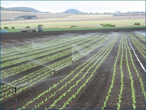 aspersores de irrigação